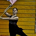 Wentzville Holt Guard